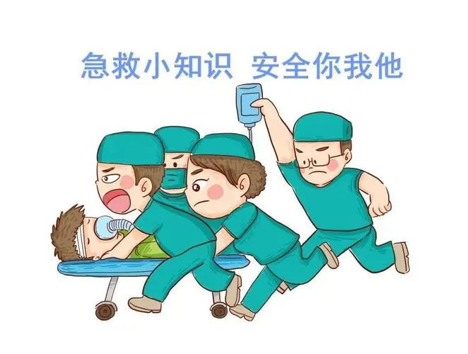 bd9e69a5eddc1fb18ebda826e4a2dbd.png